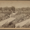 View in Central Park, New York.