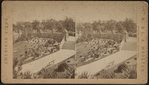 View in Central Park, New York.