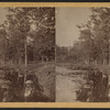 Man standing on the shore of a marsh (?)