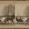 Sleighing, Central Park, N.Y.