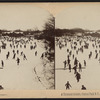 A thousand skaters, Central Park, N.Y. (Instantaneous)