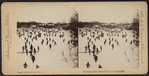 A thousand skaters, Central Park, N.Y. (Instantaneous)