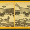 Farm yard.