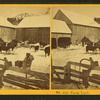 Farm yard.