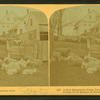 A New Hampshire farm yard, U.S.A.