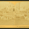 A New Hampshire farm yard. U.S.A.