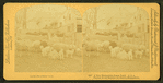 A New Hampshire farm yard. U.S.A.