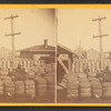 Cotton Depot [showing cotton bales in a yard].