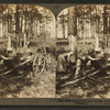 In the great pine forest, collecting turpentine, North Carolina.