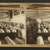 Lapper machines, White Oak Cotton Mills. Greensboro, N.C.