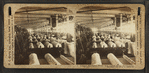 Lapper machines, White Oak Cotton Mills. Greensboro, N.C.