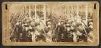 Card room, White Oak Cotton Mills. Greensboro, N.C.