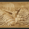 Drawing frames, White Oak Cotton Mills. Greensboro, N.C.