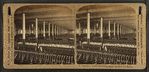 Slubbers, White Oak Cotton Mills. Greensboro, N.C.