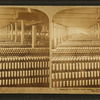 Speeders, White Oak Cotton Mills. Greensboro, N.C.