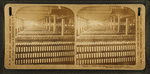 Speeders, White Oak Cotton Mills. Greensboro, N.C.