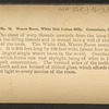 Weave room, White Oak Cotton Mills. Greensboro, N.C.