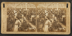 Weave room, White Oak Cotton Mills. Greensboro, N.C.