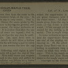Tapping a sugar-maple tree, Ohio.