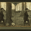 Tapping a sugar-maple tree, Ohio.