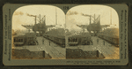 A comprehensive view of smaller uploaders at work on the oar docks, Conneaut, Ohio.