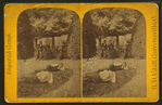 View of a park in Garrettsville with two boys on lawn and a man and two women beyond near trees.