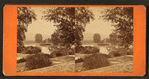 View of the Spring Grove cemetery.