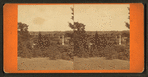 View of the Spring Grove cemetery.