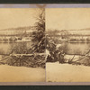 Winter scene with lake and trees.