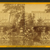 Rustic bridge in square, Cleveland.