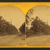 View of street with trees, church steeple, and a buggy.