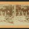 Mineral spring, soldier's home, O.