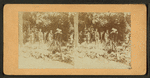 Mineral spring, soldier's home, O.
