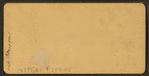 The national soldier's home, Dayton, O.