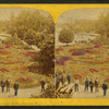 Beauties of the soldiers' home, Dayton, O.