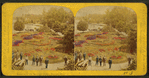 Beauties of the soldiers' home, Dayton, O.