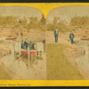 Beauties of the soldiers' home, Dayton, O.