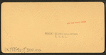 Glen flora, union mound, soldiers' home, Dayton, Ohio, U.S.A.