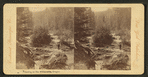 Trouting on the Williamette, Oregon.