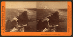 Seal rocks near Yaquina bay.