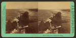 Seal rocks near Yaquina bay.