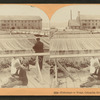 Fishermen at home, Columbia River, Oregon, U.S.A.