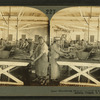 Butchering salmon--interior of a canning establishment, Astoria, Oregon, U.S.A.