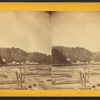 View of logs on a river.