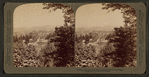 Portland, a metropolis on the Pacific coast, from the city park, Oregon.