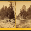 Rooster Rock, Columbia River.
