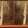 Multnomah Falls, 700 ft., Cascades, Oregon.