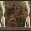 Bridal-veil Falls. Columbia River, Oregon.