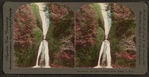 Bridal-veil Falls. Columbia River, Oregon.
