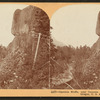 Oneonta Bluffs, near Oneonta Gorge, Columbia River, Oregon.